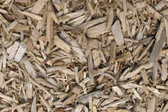 biomass boilers Da Hametoon
